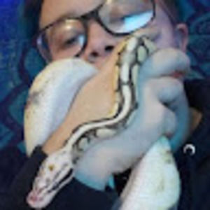 Meet your Posher, Violet